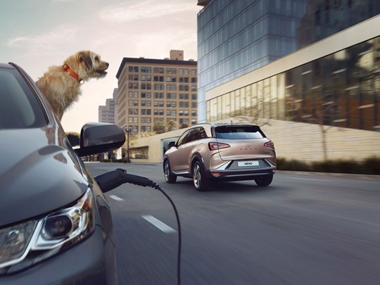 Hyundai NEXO bränslecellsbil kör förbi hund i annan bil. 